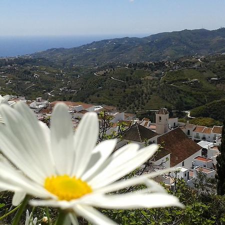 Casa Ana, Fantasticas Vistas A Frigiliana, El Mar Y La Montana Villa Eksteriør bilde