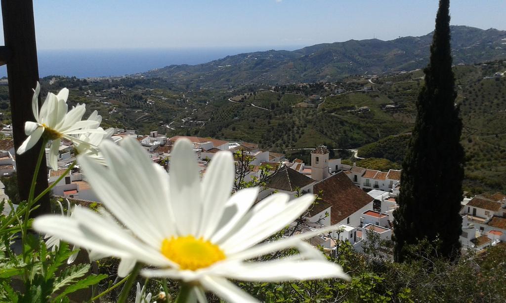 Casa Ana, Fantasticas Vistas A Frigiliana, El Mar Y La Montana Villa Eksteriør bilde